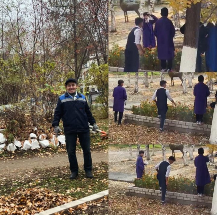 🍁Гүл тұқымдарын жинасып, ауламызды жапырақтардан тазартуға көмектесті🍁